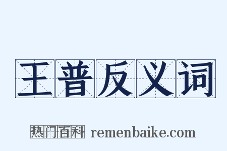 王普反义词是什么意思的图片